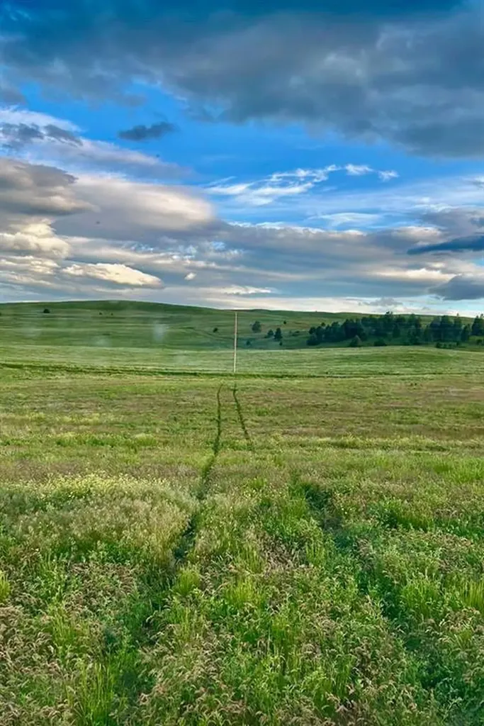 Tbd Lot #1 Tower Road Polson MT 59860