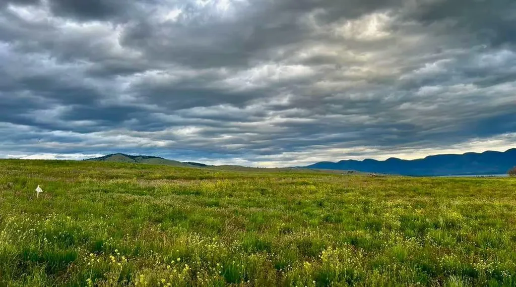 Tbd Lot #1 Tower Road Polson MT 59860