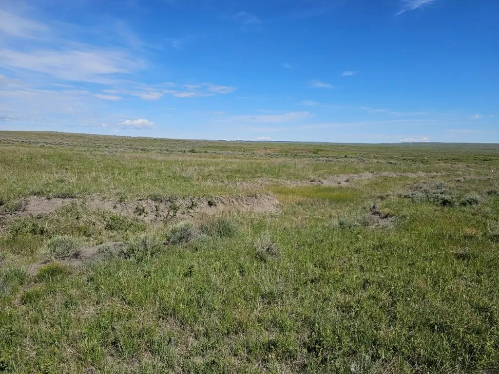 Tbd Elk Creek Road Winnett MT 59087