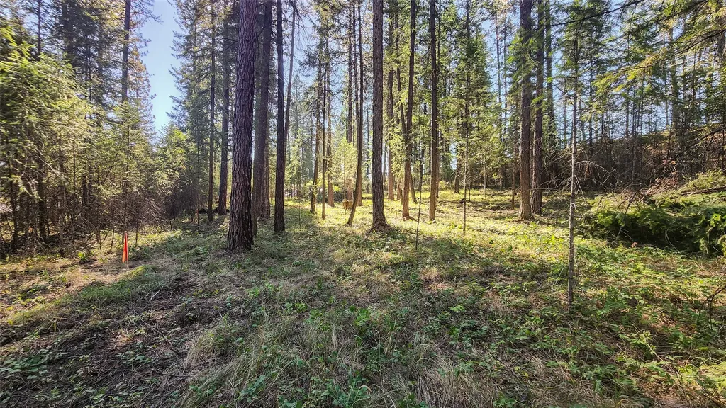 1505 Kootenai River Road Libby MT 59923