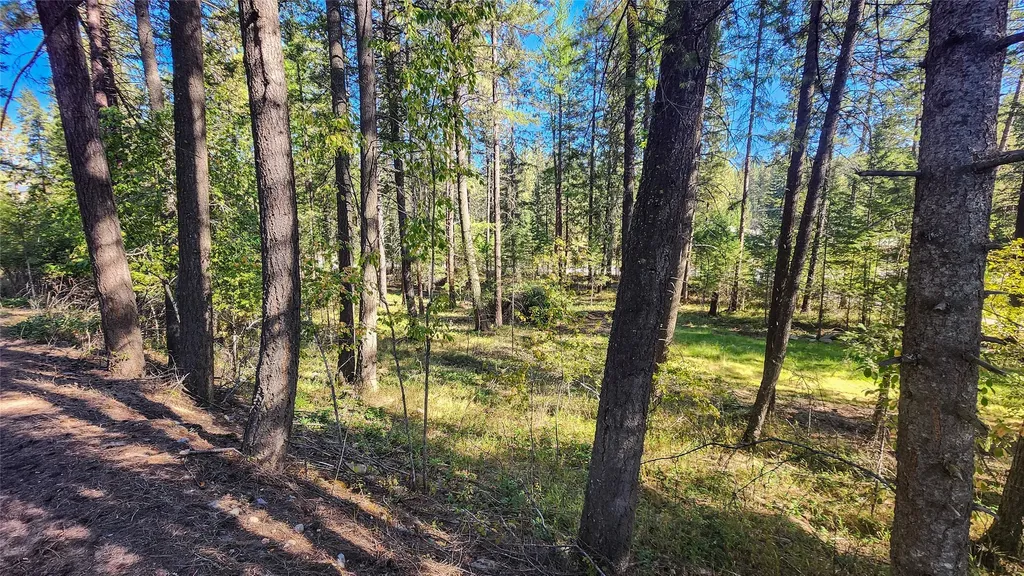 1505 Kootenai River Road Libby MT 59923