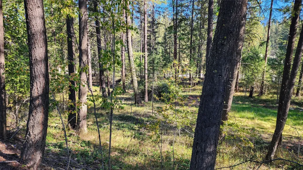1505 Kootenai River Road Libby MT 59923