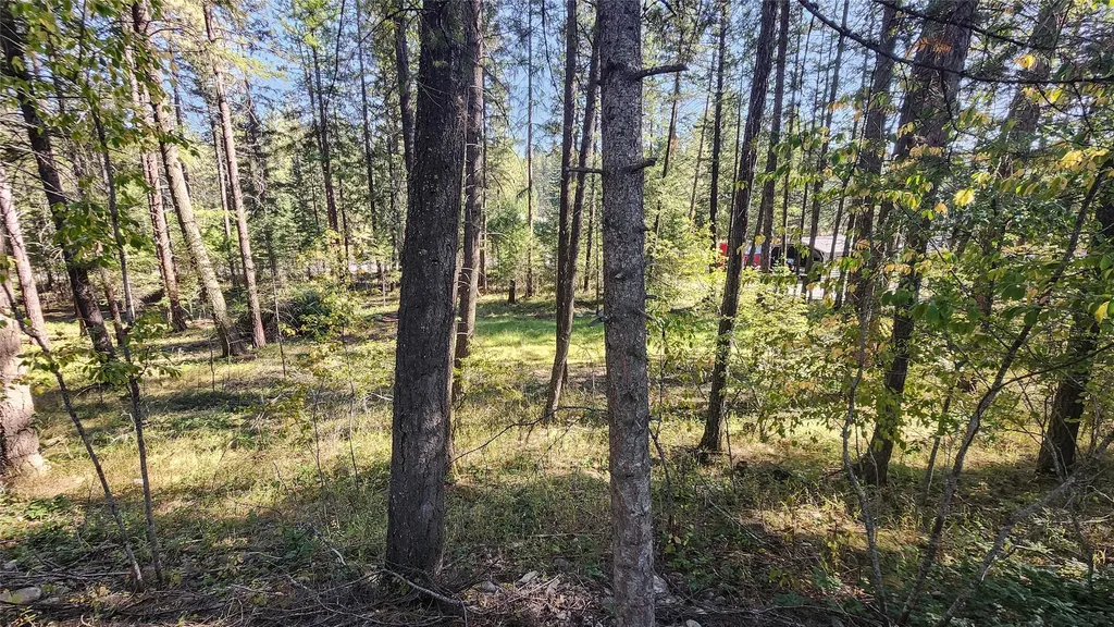 1505 Kootenai River Road Libby MT 59923