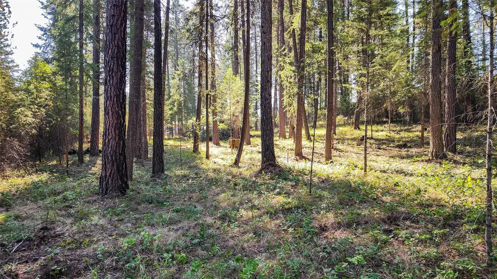 1505 Kootenai River Road Libby MT 59923
