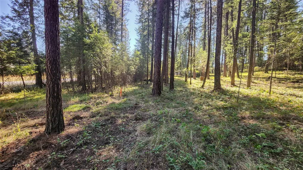 1505 Kootenai River Road Libby MT 59923