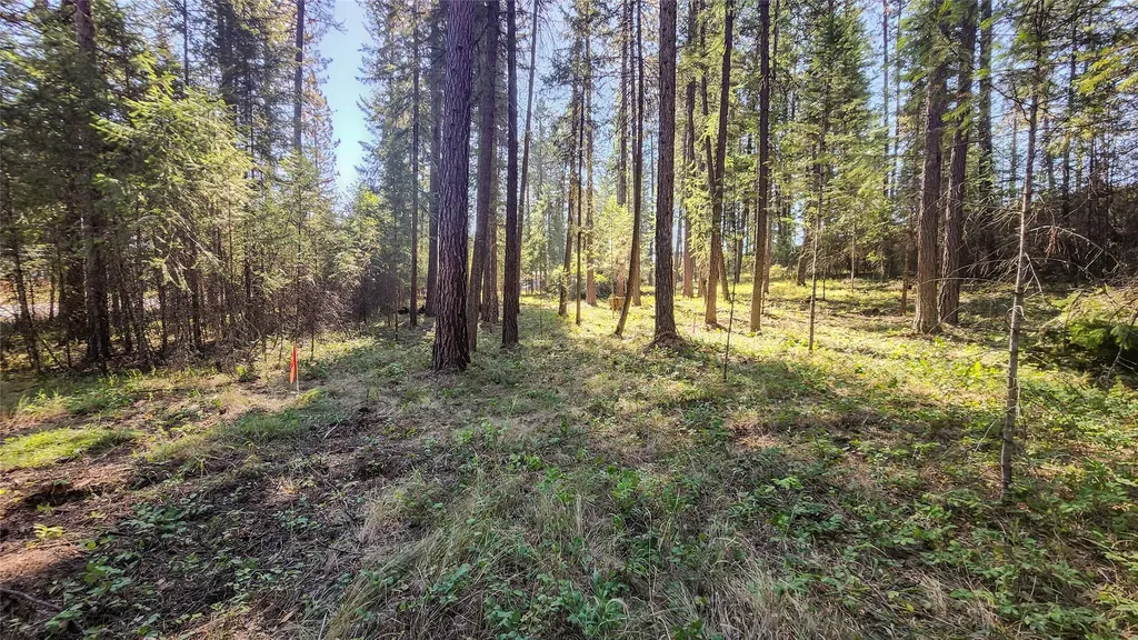 1505 Kootenai River Road Libby MT 59923