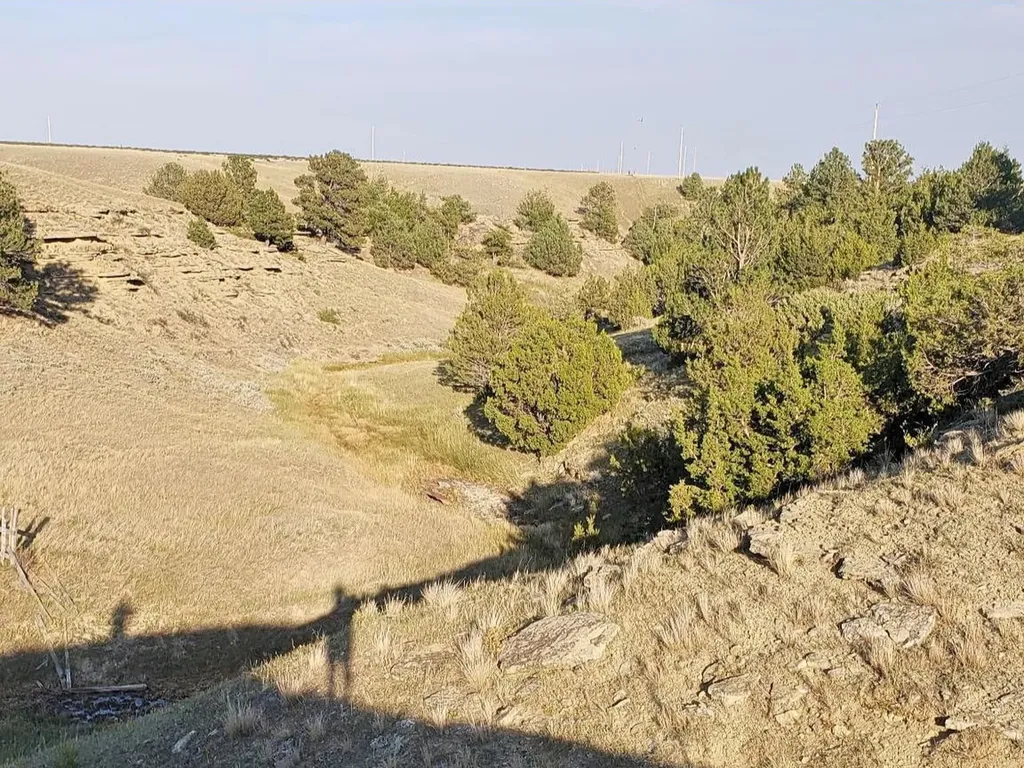 Tbd Antelope Road Shawmut MT 59078