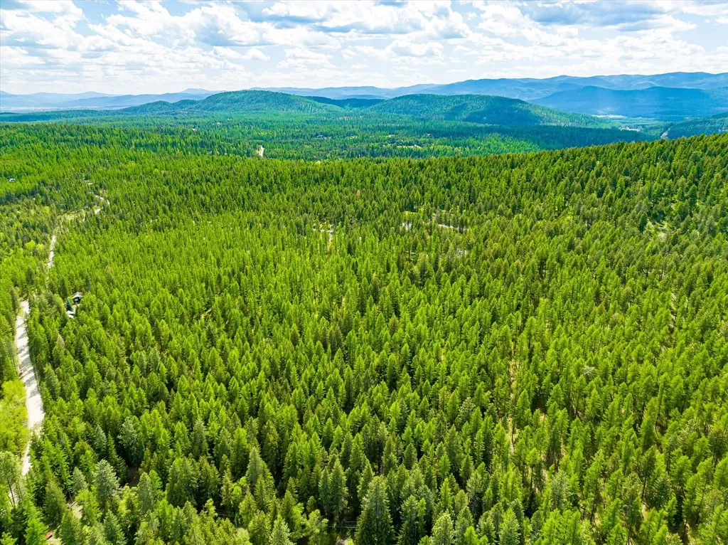 1340 Lion Mountain Drive Whitefish MT 59937