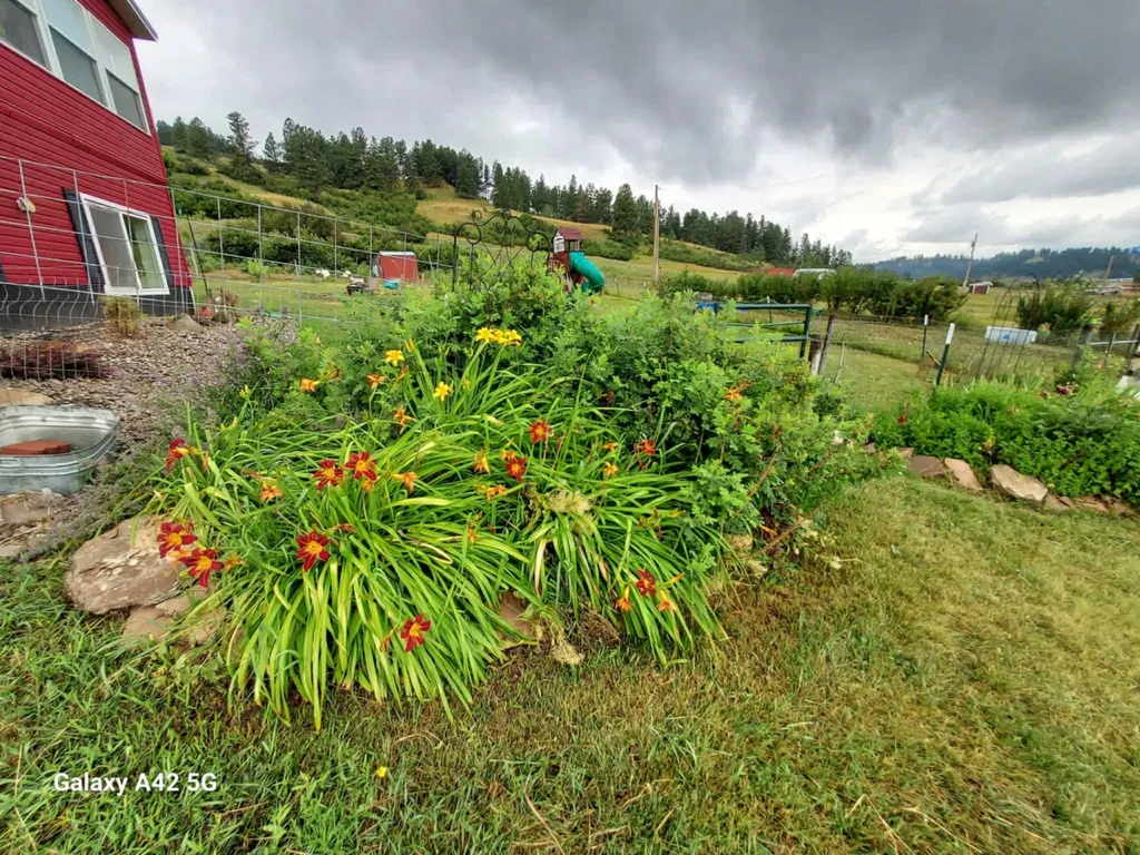 138 Railroad Lane Lewistown MT 59457