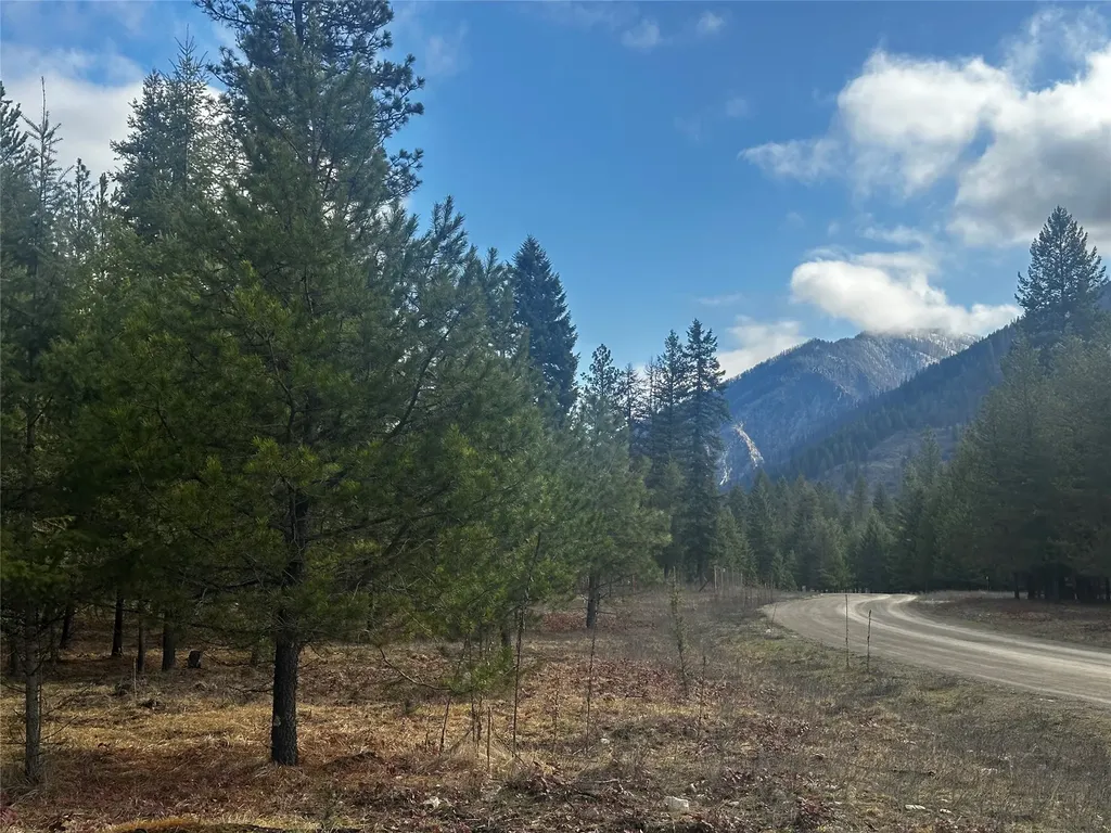 Nhn Graves Creek Loop Thompson Falls MT 59873