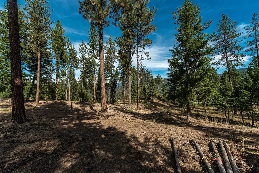 814 Quartz Road Superior MT 59872