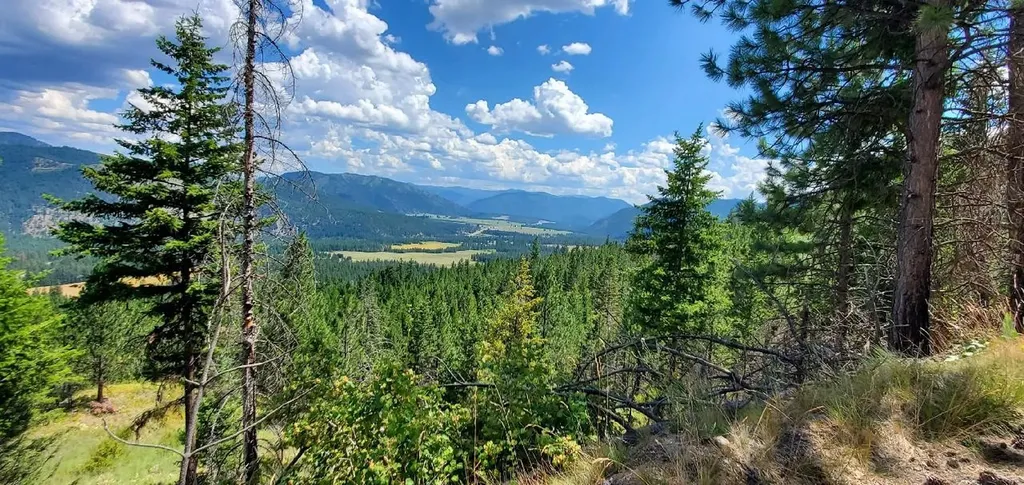 814 Quartz Road Superior MT 59872