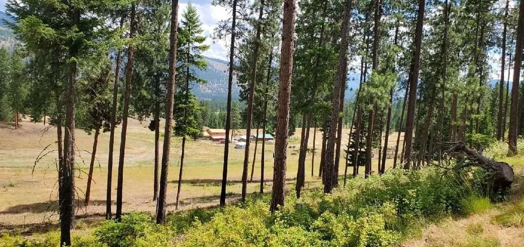 814 Quartz Road Superior MT 59872