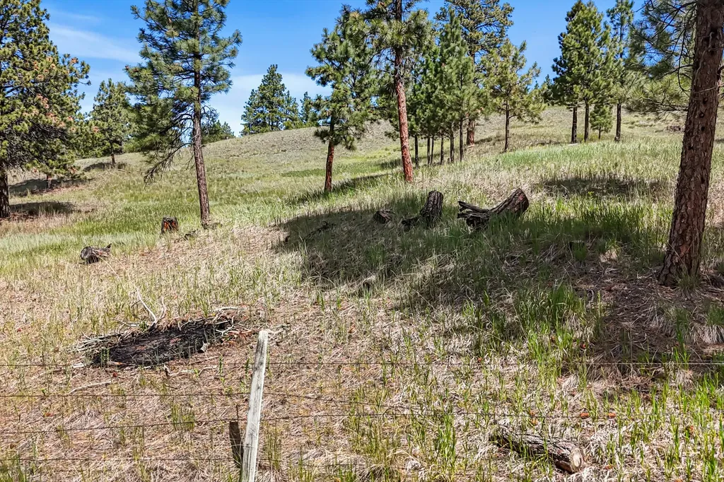 6155 Scott Lane Helena MT 59602