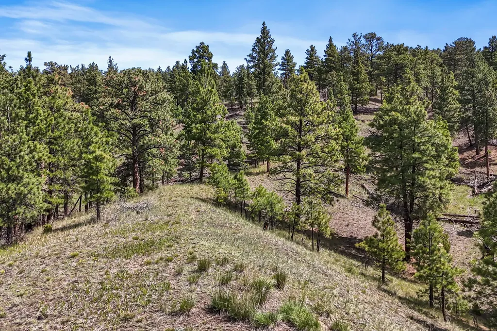 6155 Scott Lane Helena MT 59602