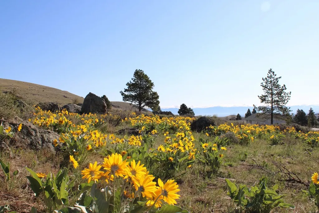 5030 Smallwood Court Helena MT 59601