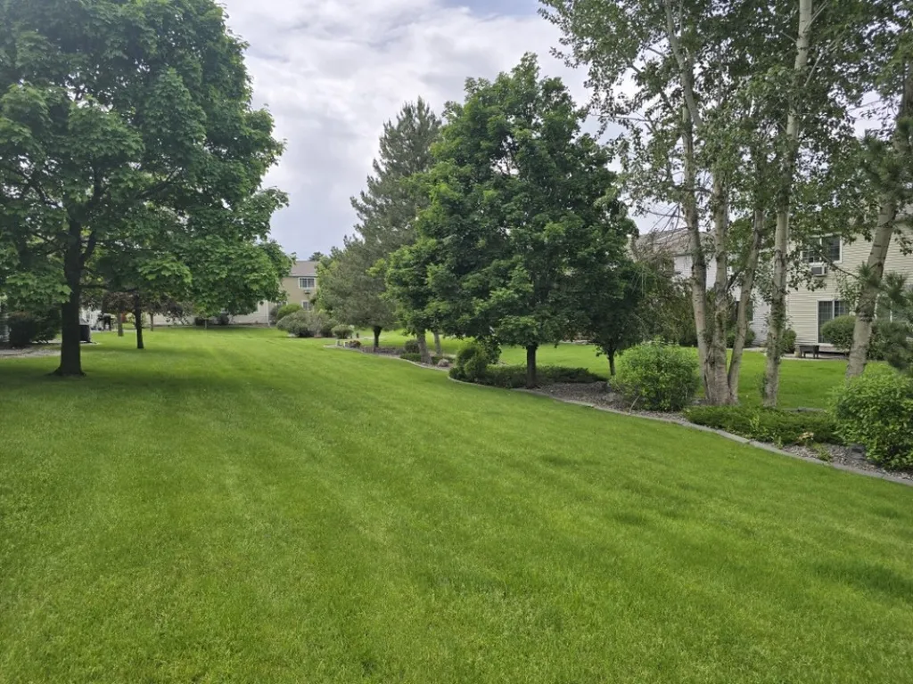1910 Wyoming Street Missoula MT 59801