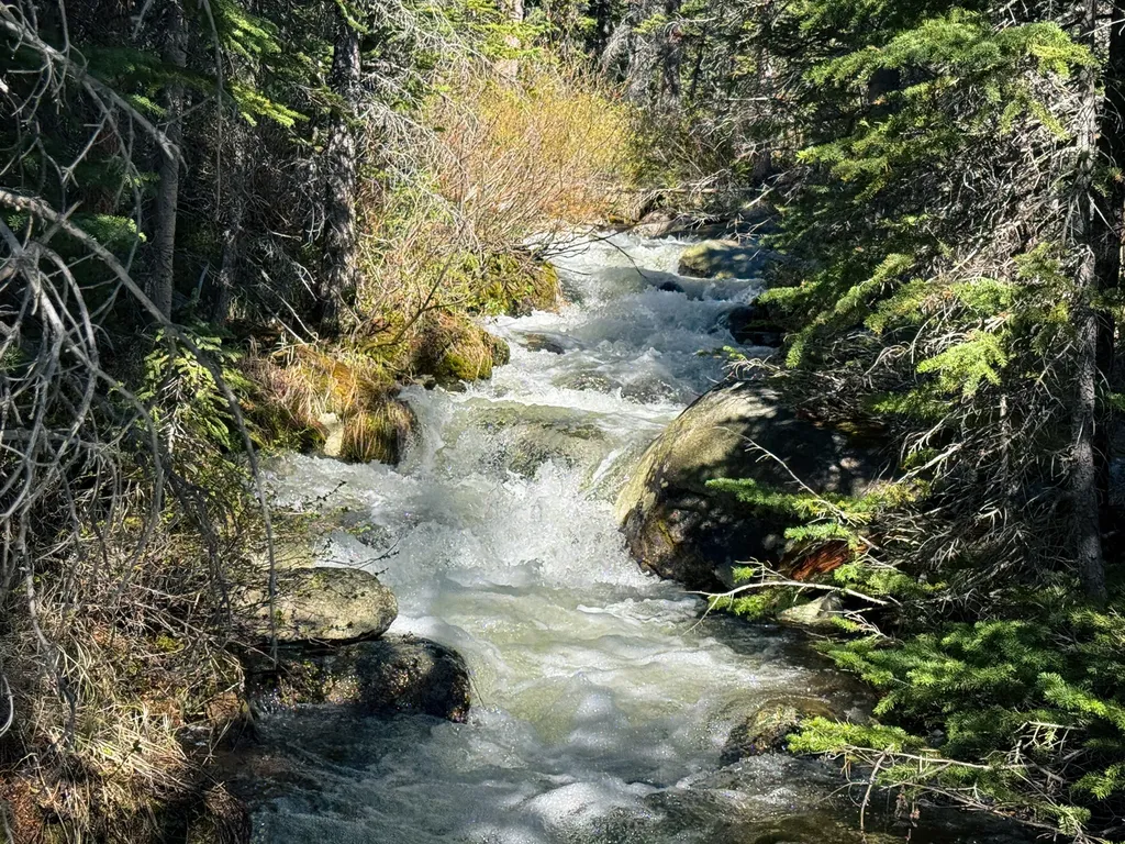 970 Lower Clear Creek Trail Anaconda MT 59711