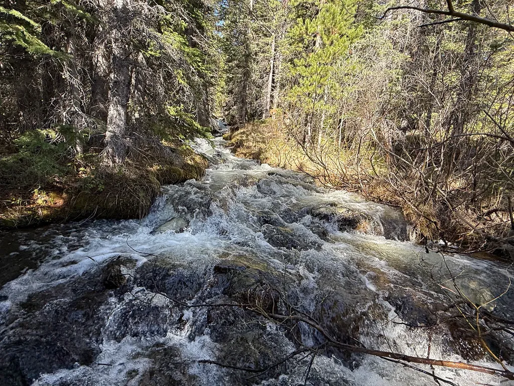 970 Lower Clear Creek Trail Anaconda MT 59711