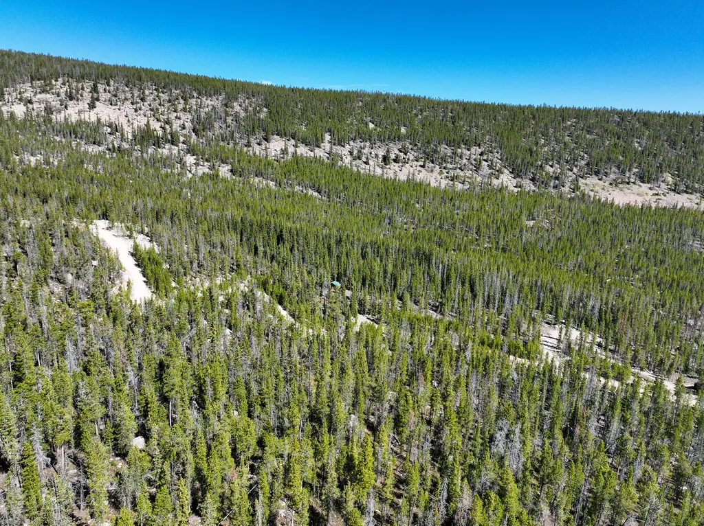 970 Lower Clear Creek Trail Anaconda MT 59711