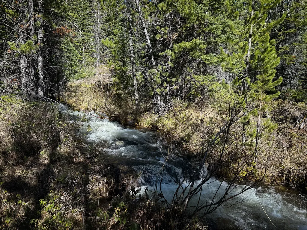 970 Lower Clear Creek Trail Anaconda MT 59711