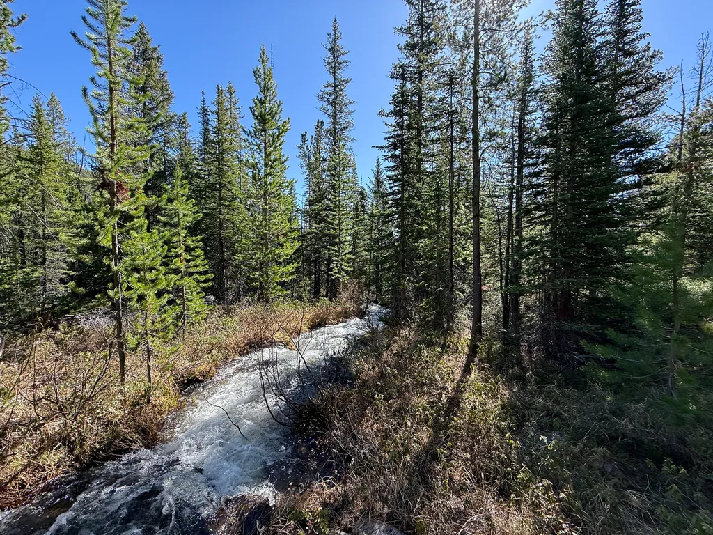 970 Lower Clear Creek Trail Anaconda MT 59711