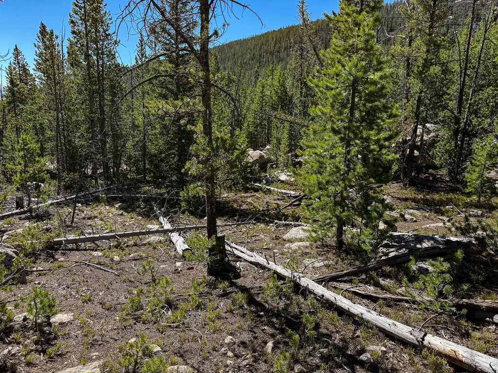 970 Lower Clear Creek Trail Anaconda MT 59711