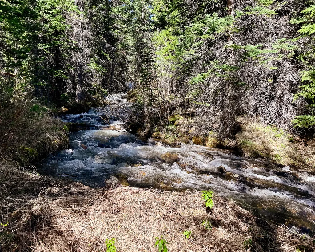 970 Lower Clear Creek Trail Anaconda MT 59711