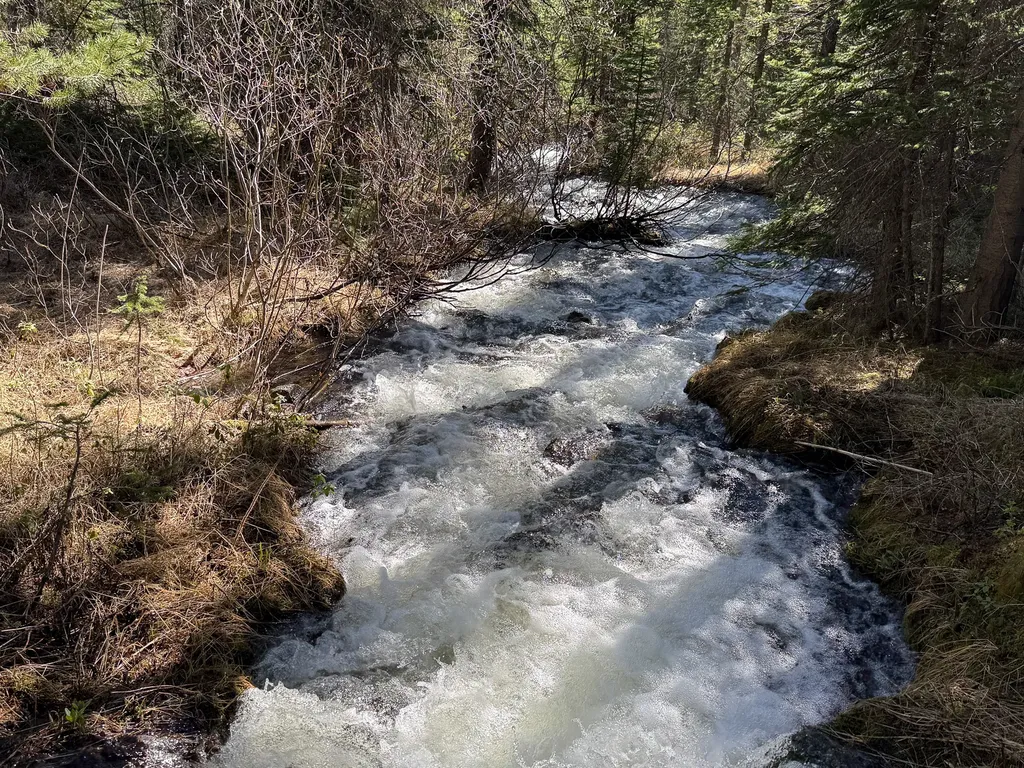 970 Lower Clear Creek Trail Anaconda MT 59711