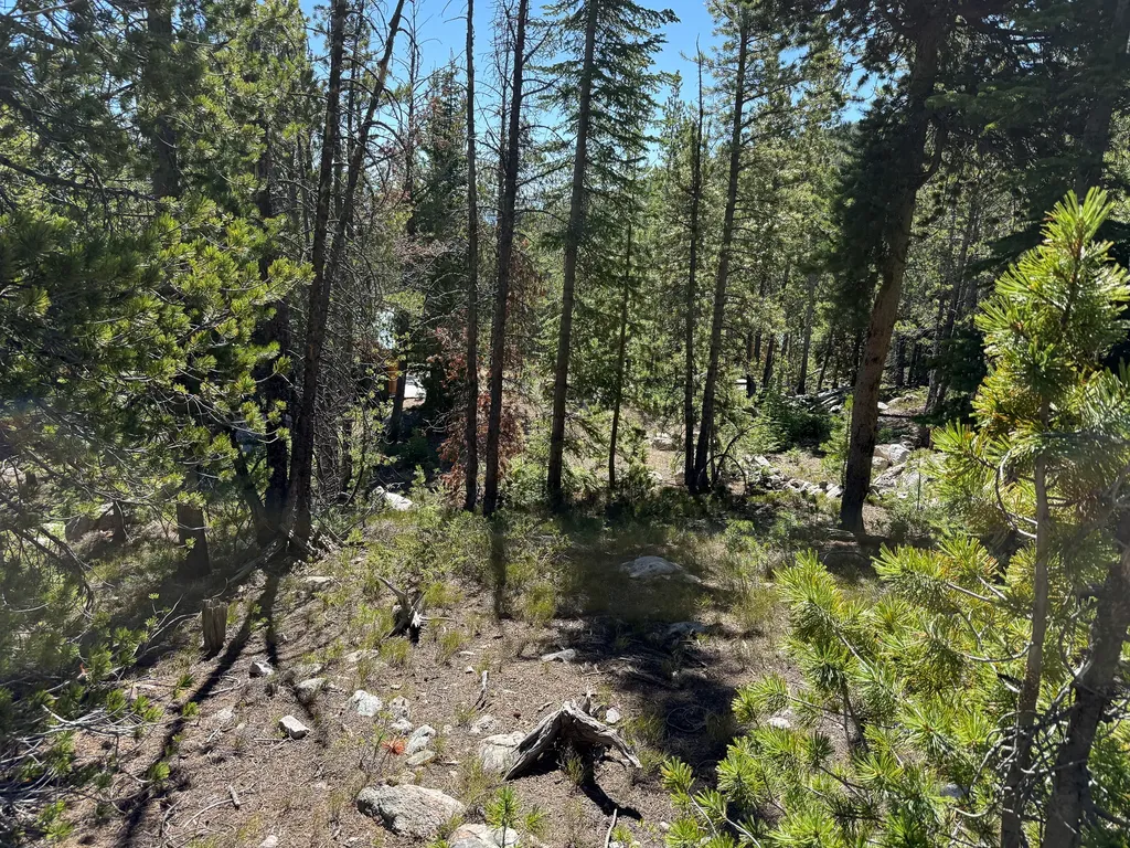 970 Lower Clear Creek Trail Anaconda MT 59711