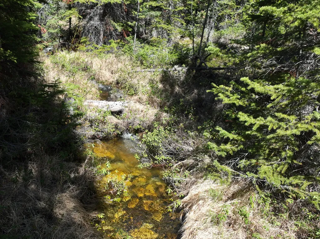 970 Lower Clear Creek Trail Anaconda MT 59711