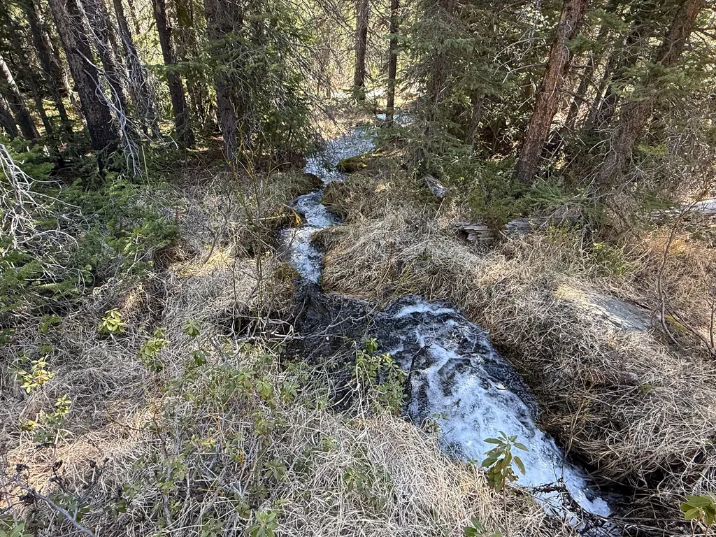 970 Lower Clear Creek Trail Anaconda MT 59711