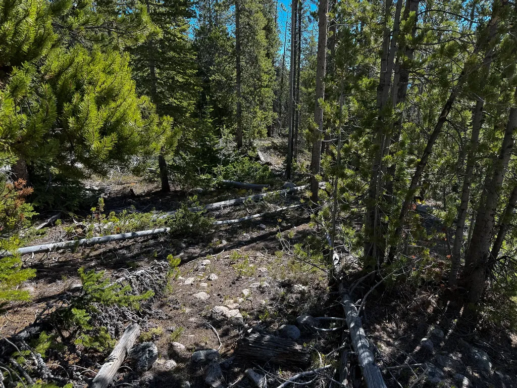 970 Lower Clear Creek Trail Anaconda MT 59711