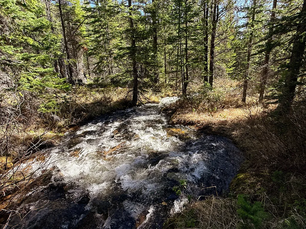 970 Lower Clear Creek Trail Anaconda MT 59711