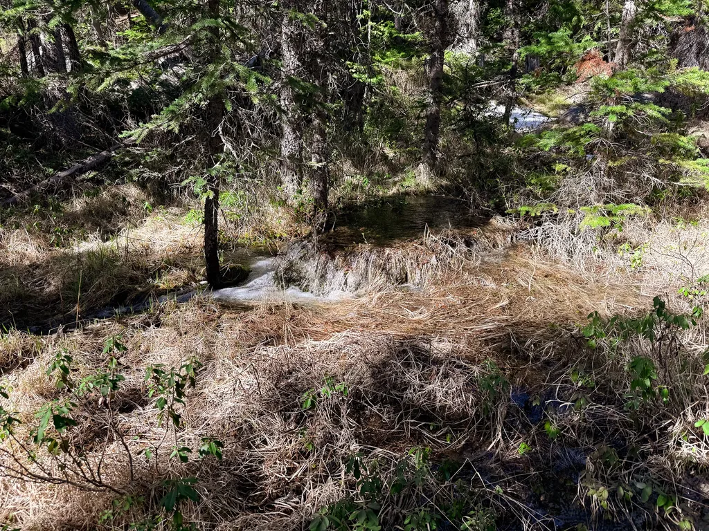 970 Lower Clear Creek Trail Anaconda MT 59711