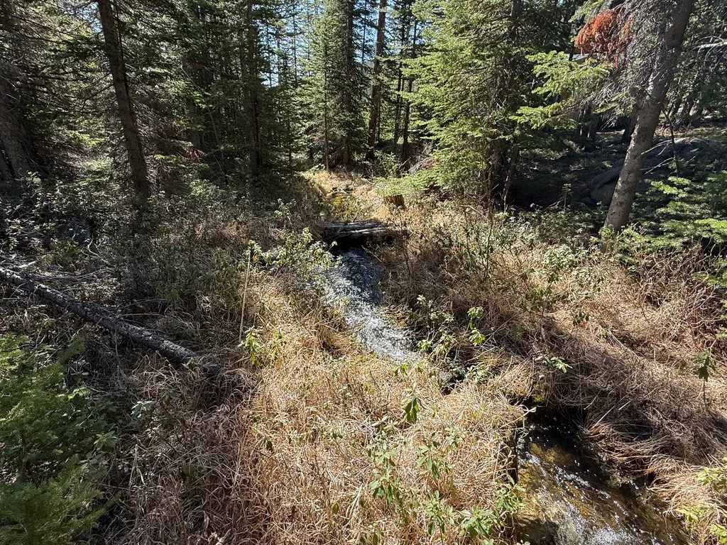 970 Lower Clear Creek Trail Anaconda MT 59711
