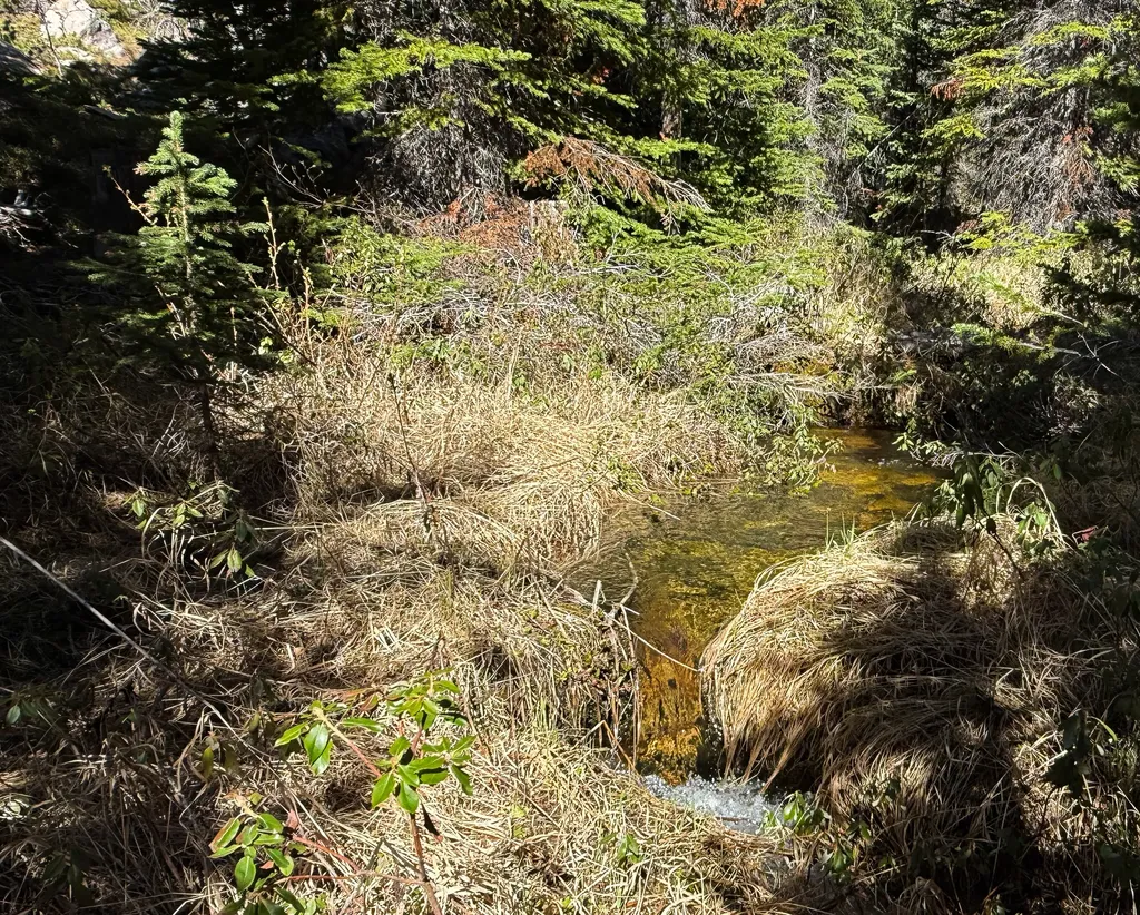 970 Lower Clear Creek Trail Anaconda MT 59711