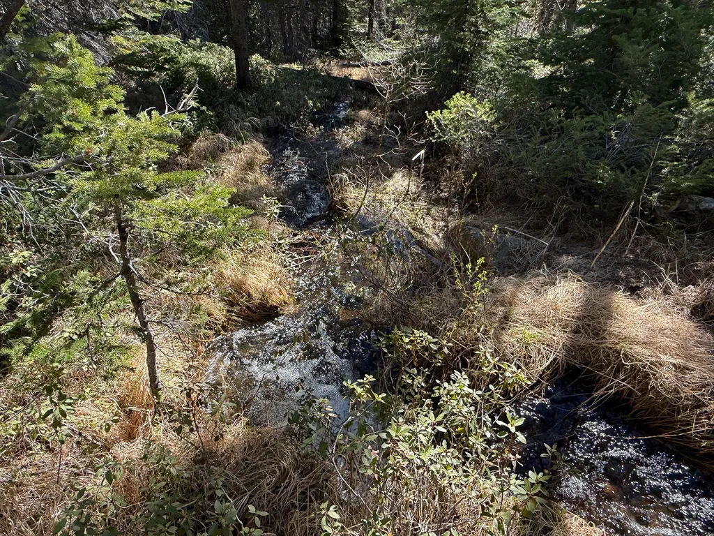 970 Lower Clear Creek Trail Anaconda MT 59711