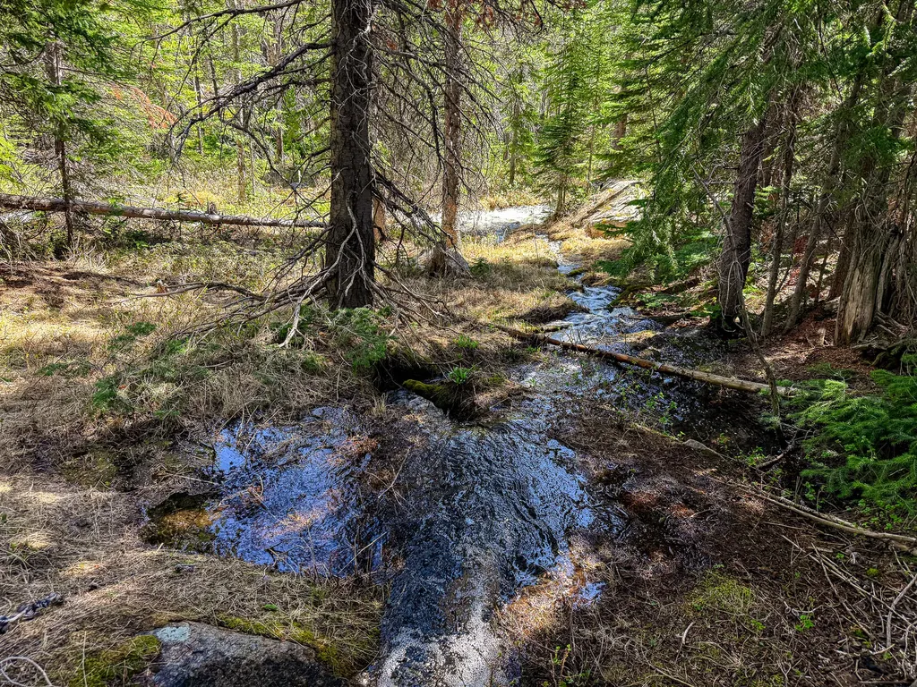 970 Lower Clear Creek Trail Anaconda MT 59711