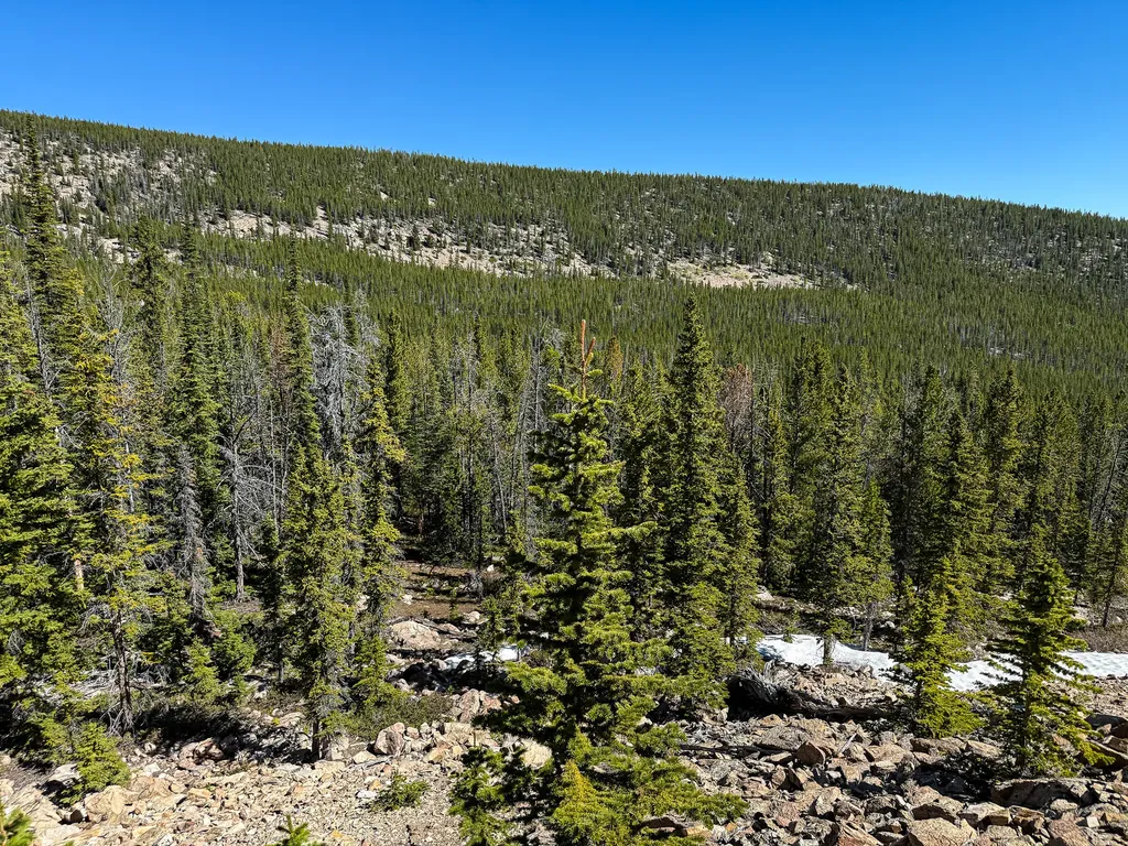 970 Lower Clear Creek Trail Anaconda MT 59711