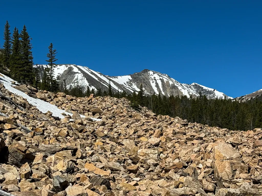 970 Lower Clear Creek Trail Anaconda MT 59711