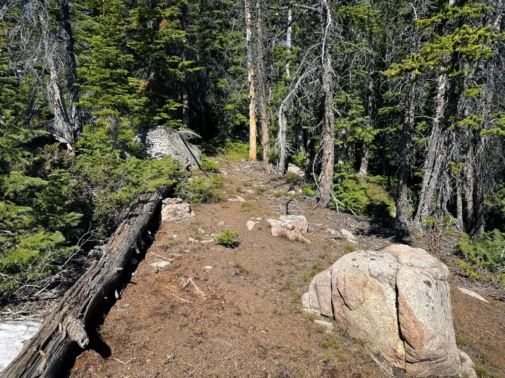970 Lower Clear Creek Trail Anaconda MT 59711