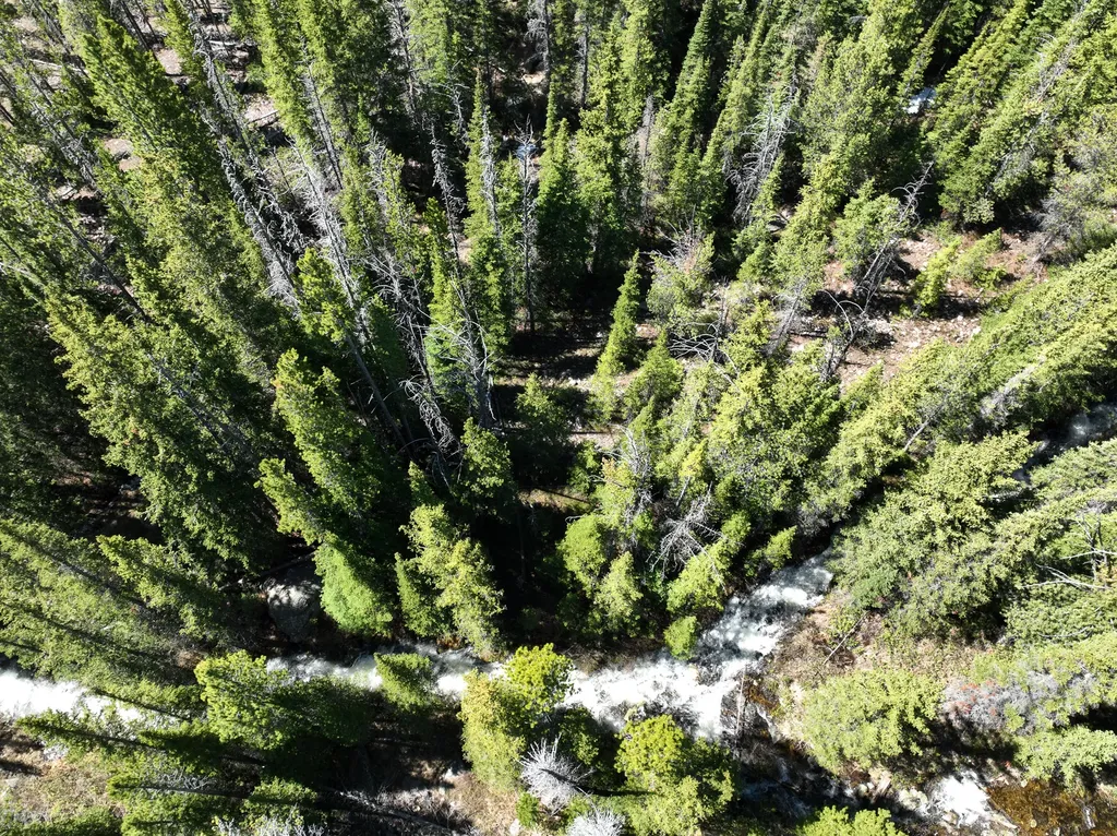 970 Lower Clear Creek Trail Anaconda MT 59711