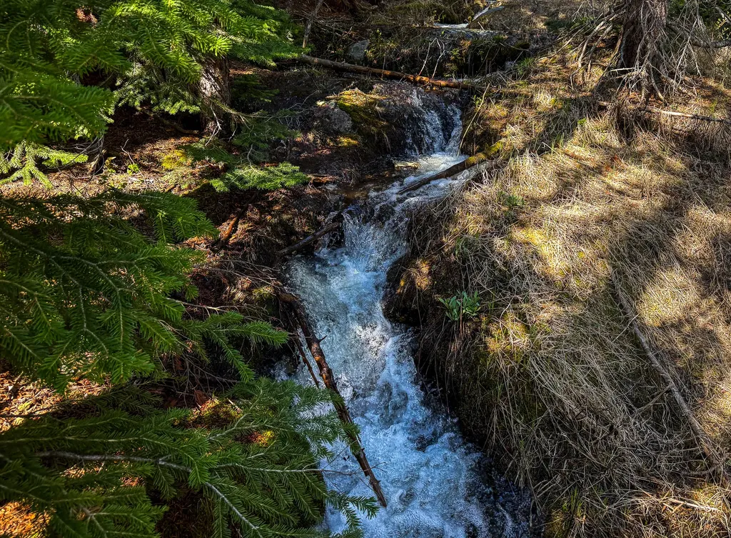970 Lower Clear Creek Trail Anaconda MT 59711