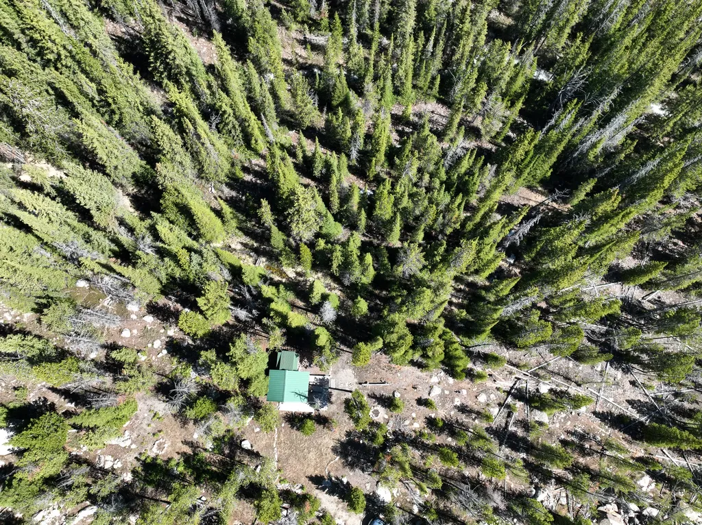 970 Lower Clear Creek Trail Anaconda MT 59711