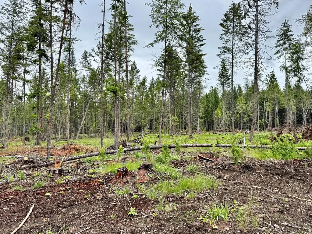 312 Lodge Pole Way Libby MT 59923