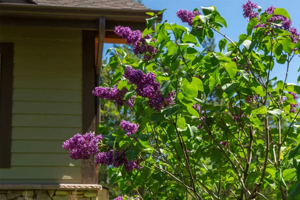 381 Gleneagles Trail Columbia Falls MT 59912