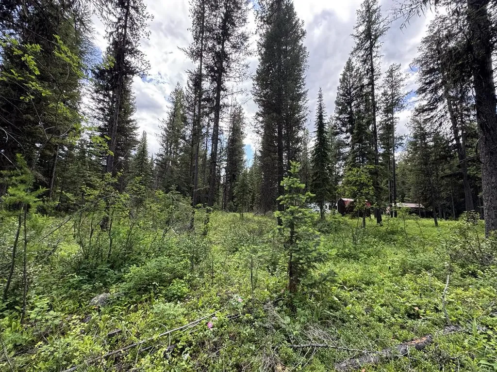768 Deep Woods Trail Polebridge MT 59928