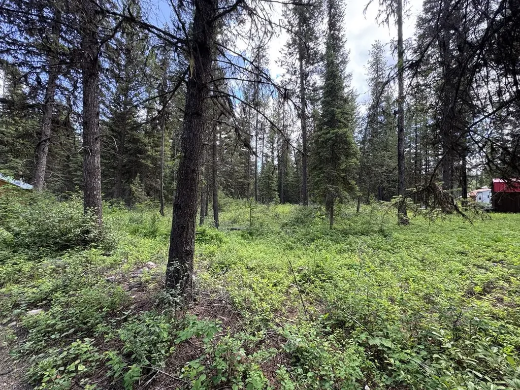 768 Deep Woods Trail Polebridge MT 59928