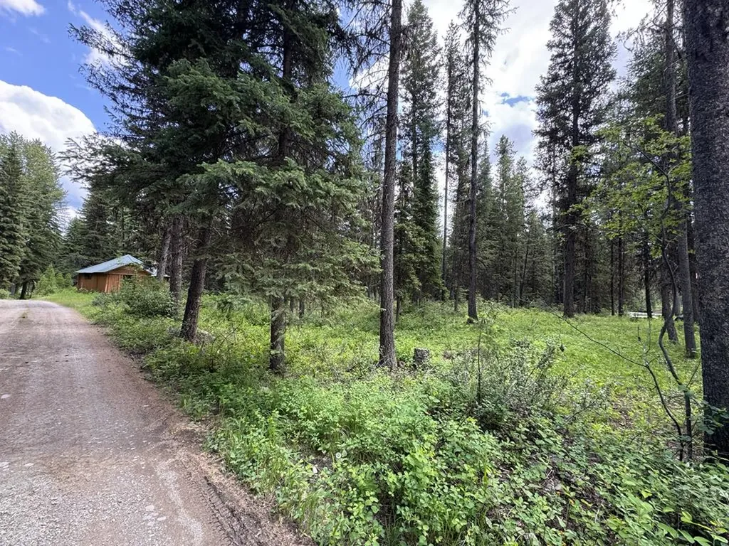 768 Deep Woods Trail Polebridge MT 59928